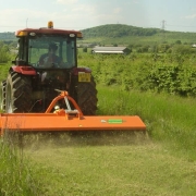 Szárzúzó vs. Tavaszi zsibongás: Hogyan irtsunk bozótot anélkül, hogy letarolnánk a vadvilágot?